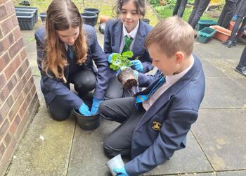 Priory's Inaugural Eco Garden