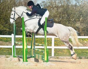 Pry showjumping