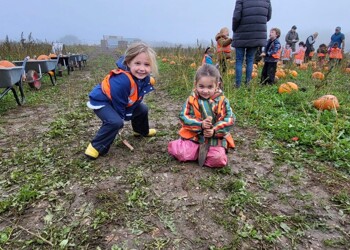 Reception Pop Up Pumpkins