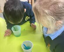 485262946 17891563860199409 4954538263757664954 n