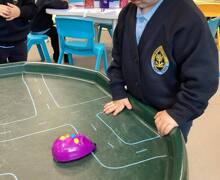 549928342 17912879910199409 3603775882399322617 n