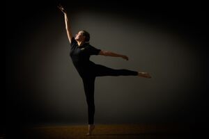 Robert barclay d2 101