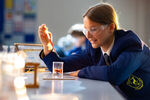 The hemel hempstead school 009