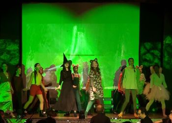 Shrek The Musical