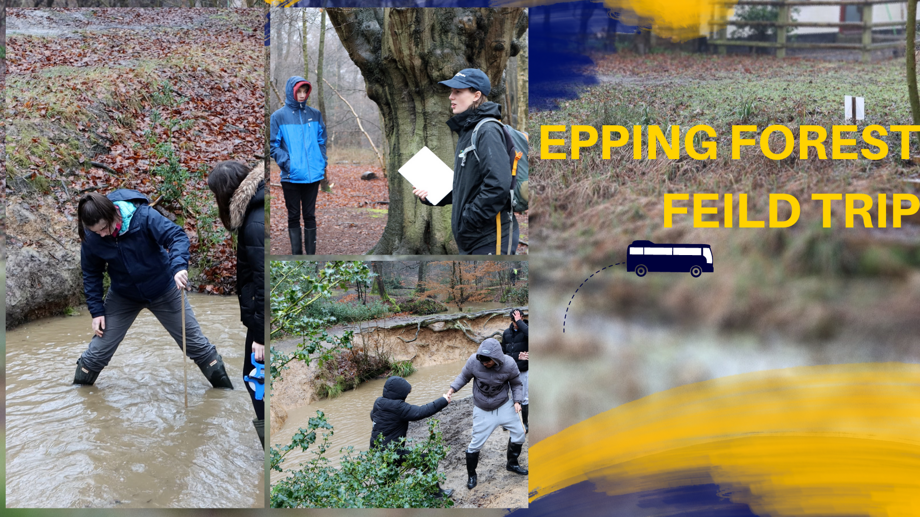 Epping forest feild trip